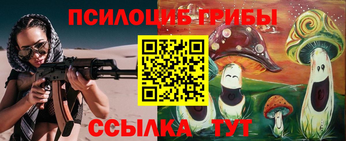 Галлюциногенные грибы мухоморы Дивногорск