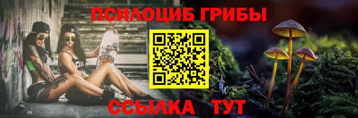 Дивногорск  Псилоцибиновые грибы Psilocybine cubensis  Вход с VPN 